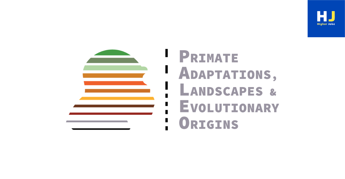 Academic careers at Palaeo-Primate Research Group – fellowships, PhD, postdoctoral, JRF, SRF, faculty, professor, research assistant, research associate, and university jobs